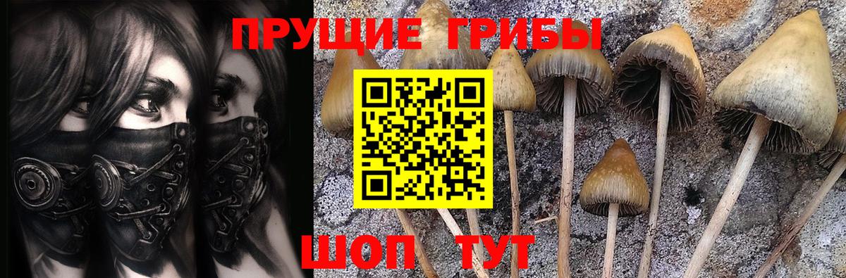 Спасск-Дальний  Галлюциногенные грибы Magic Shrooms  Галлюциногенные грибы ЛСД  Вход с VPN 