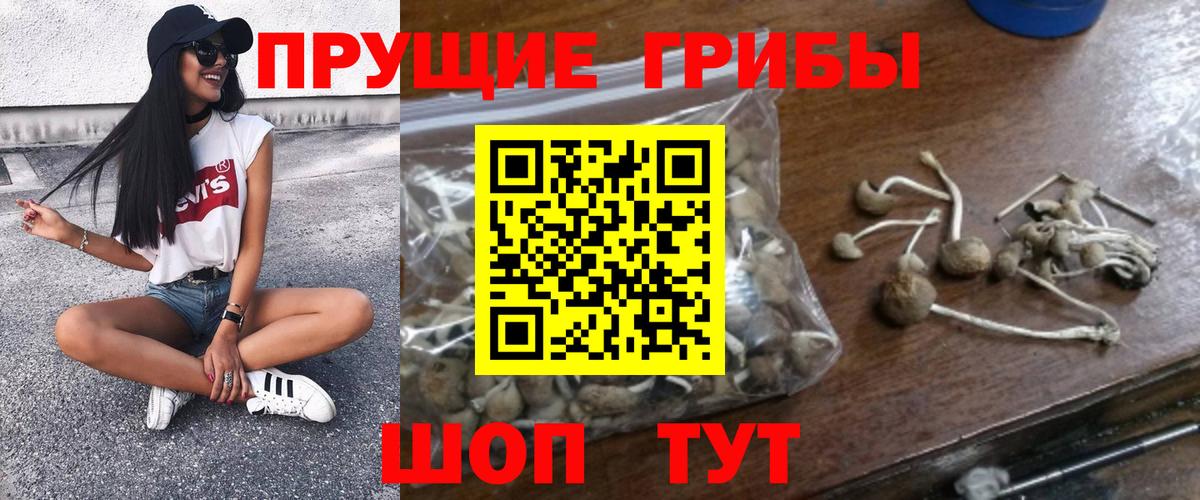 Галлюциногенные грибы мухоморы Спасск-Дальний